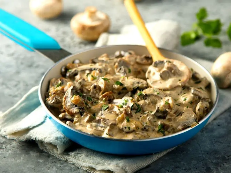 creamy venison stew