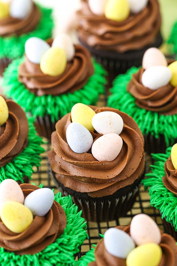 easter chocolate muffins recipe