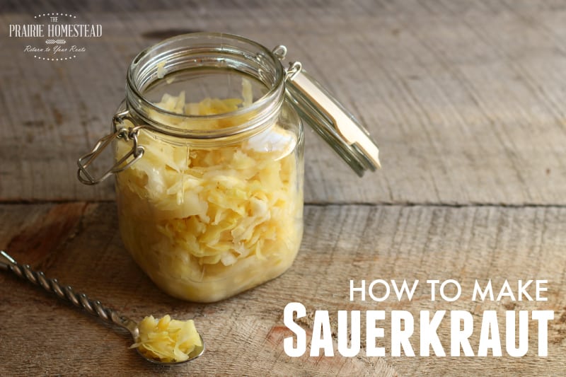 homemade sauerkraut recipe