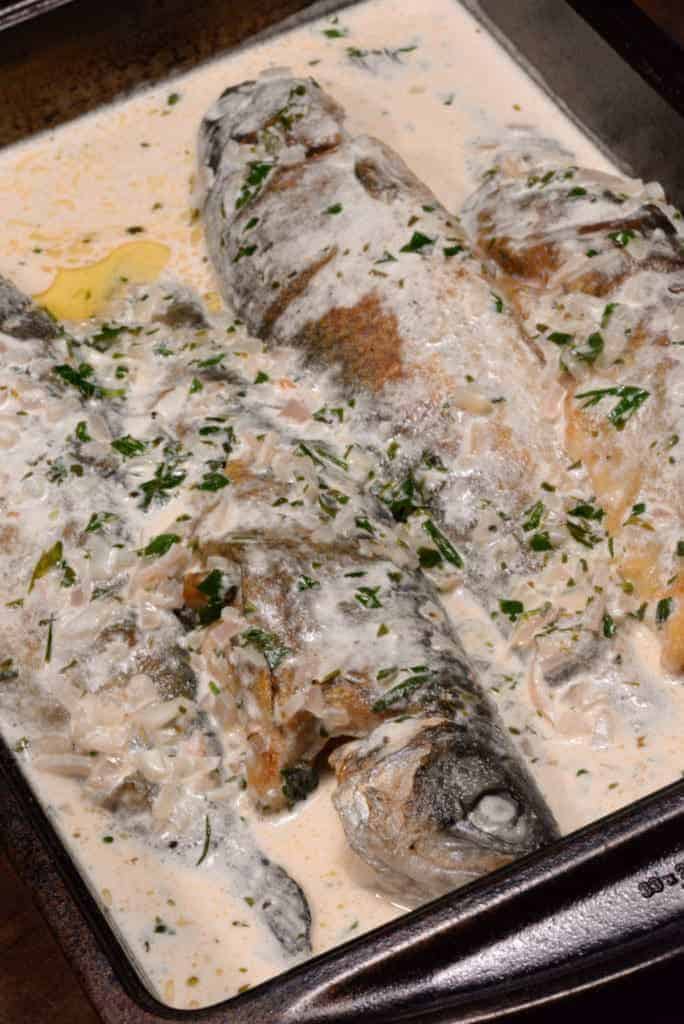 luxembourg trout in wine sauce with herbs recipe