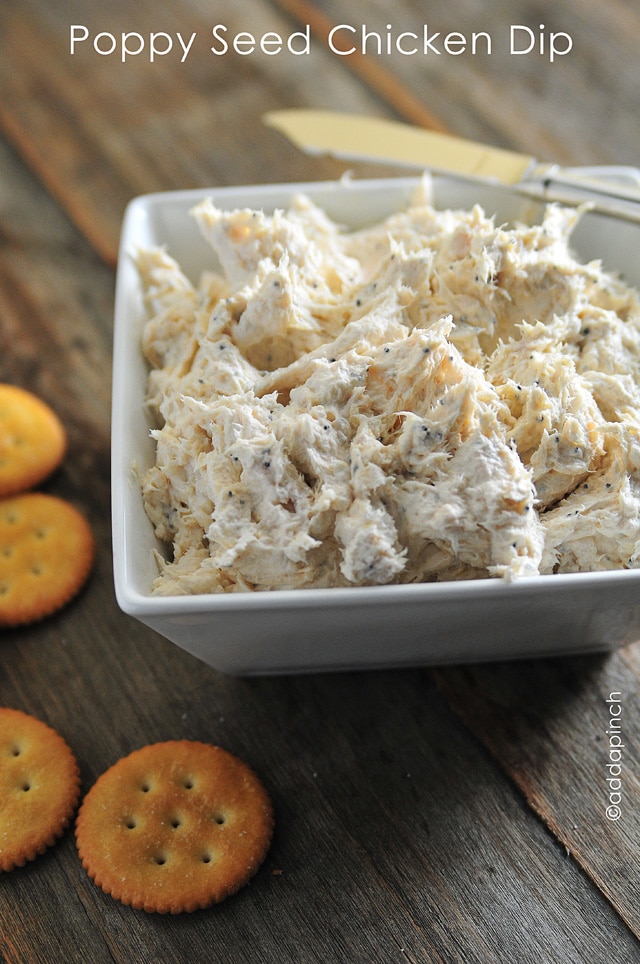 simple chicken of the sea dip recipe with just mayonnaise