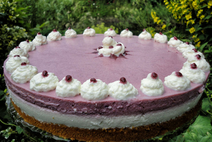 two colour kefir cake pie recipe