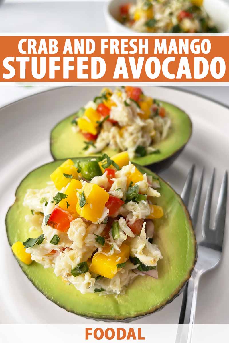 avocado stuffed with crab meat 1