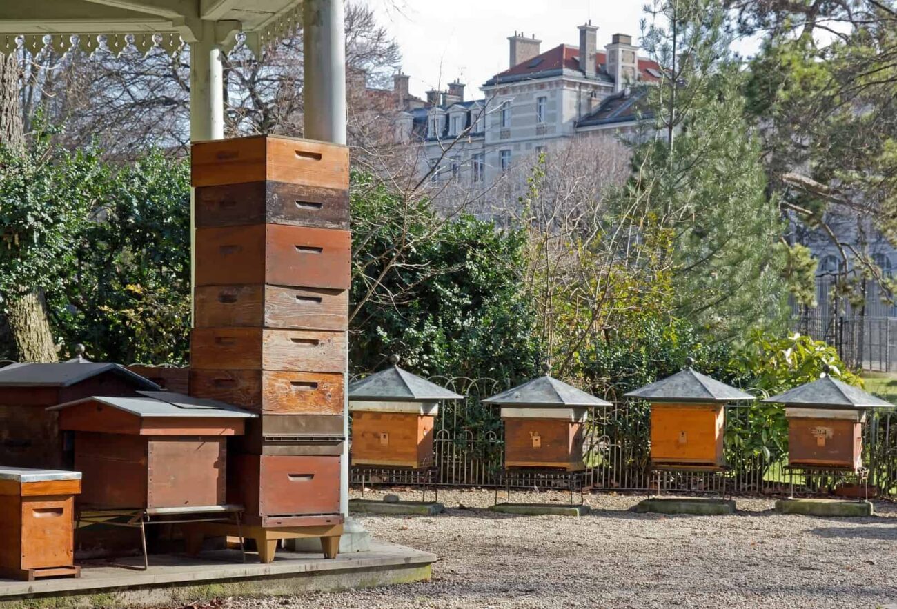 bee hives a little differently