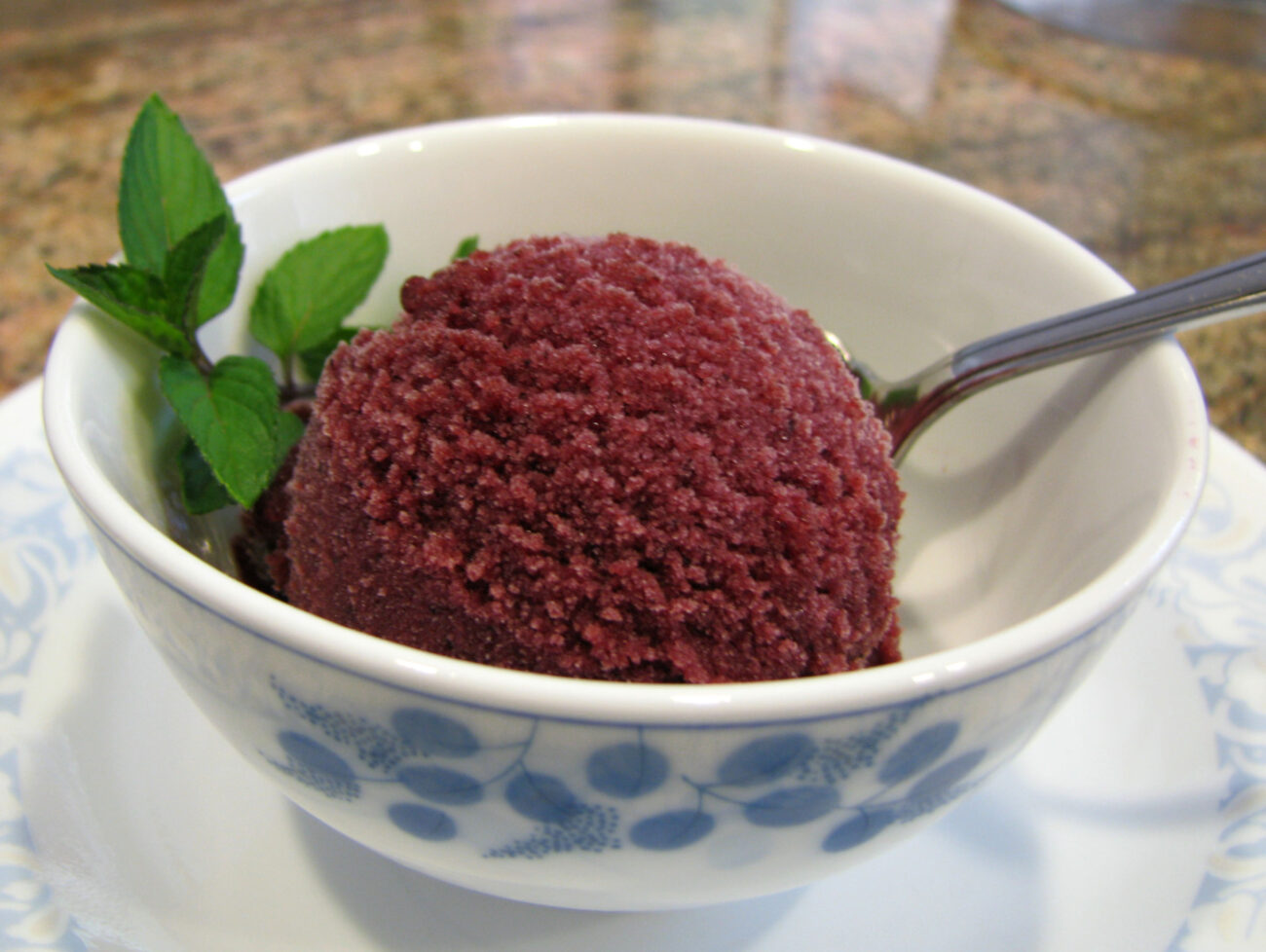 Blueberry Sorbet