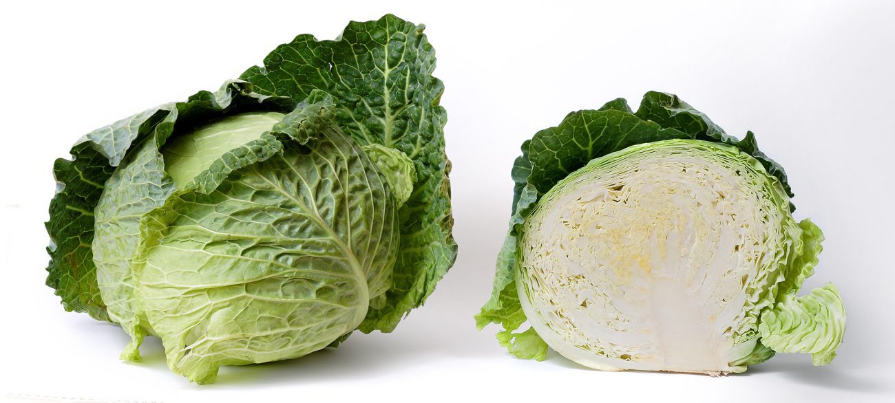 cabbages