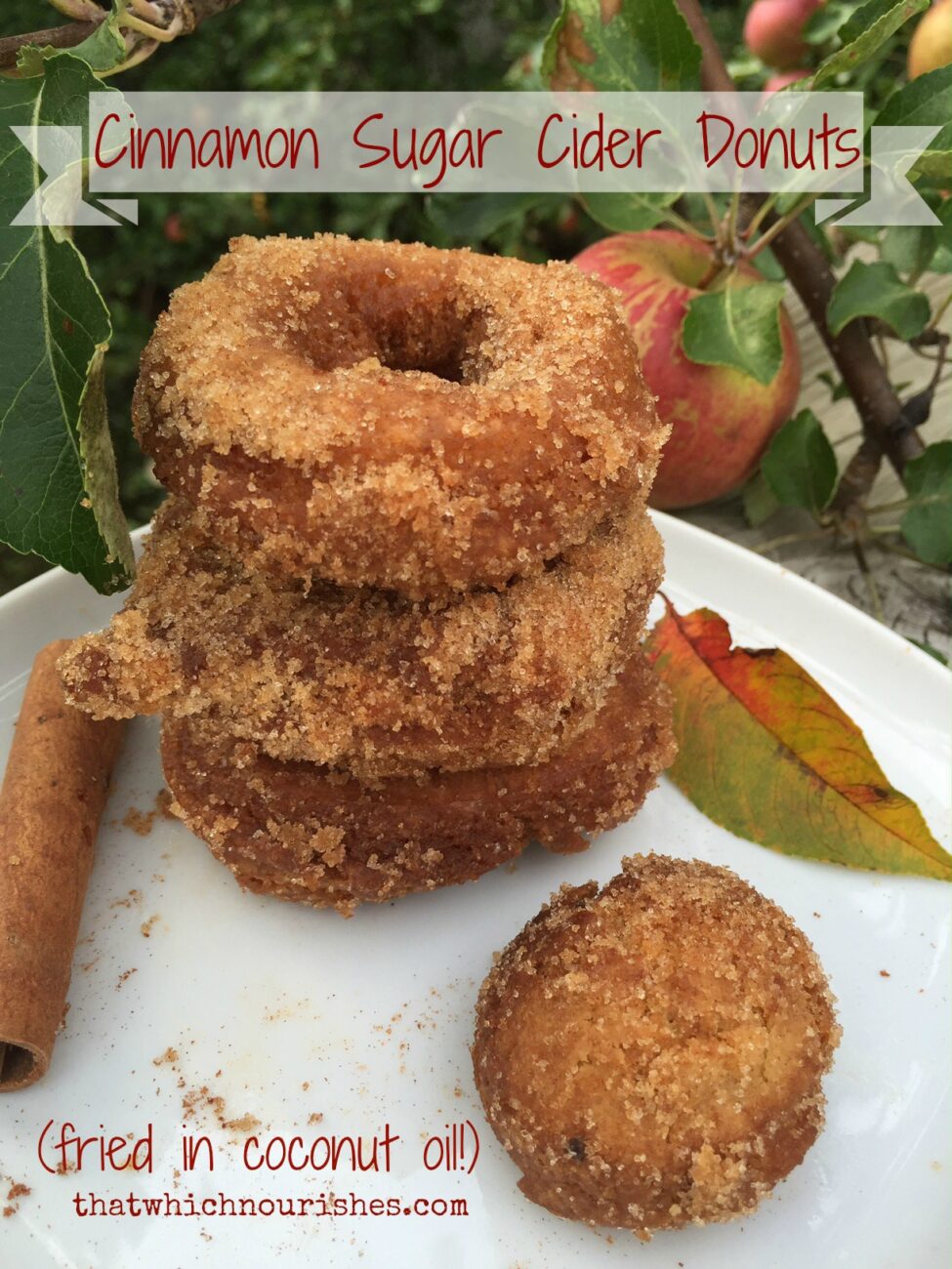 doughnut donuts fried