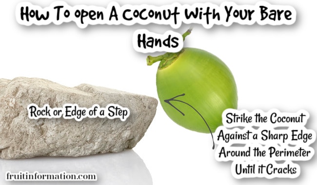 how to crack and open a coconut