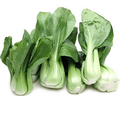 asian roasted bok choy cabbage