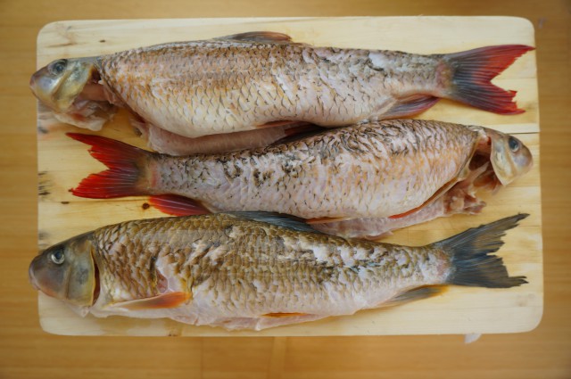 baked hungarian carp