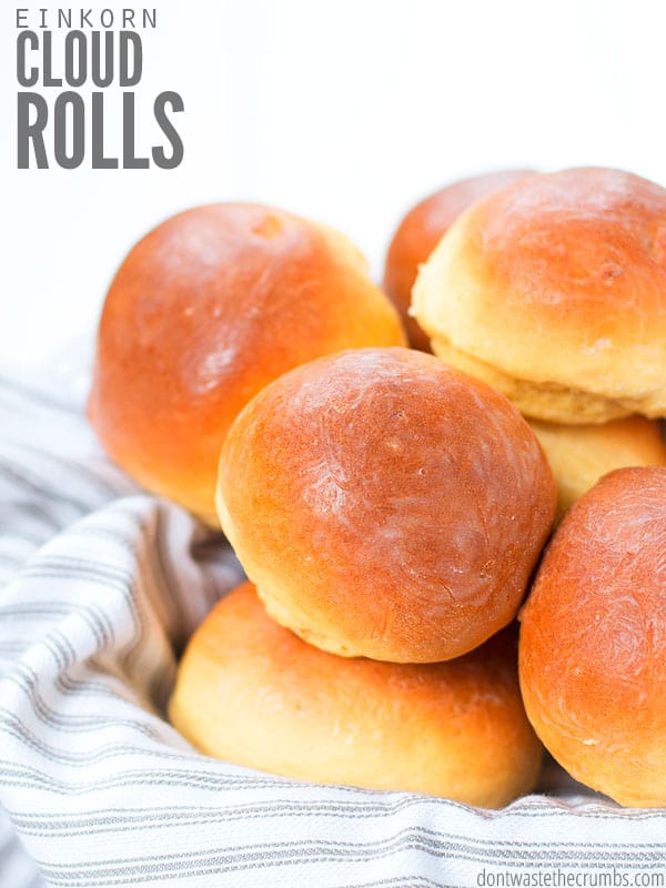 homemade rolls and buns