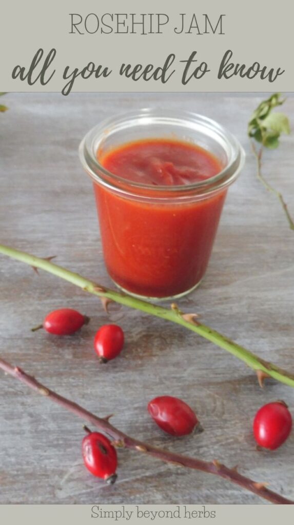 homemade rosehip liqueur