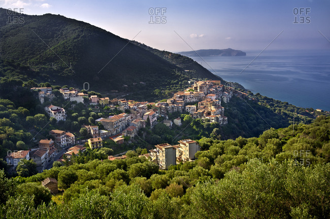 pisciotta