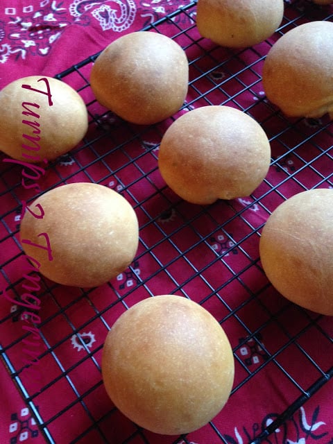 sourdough cheese pastry