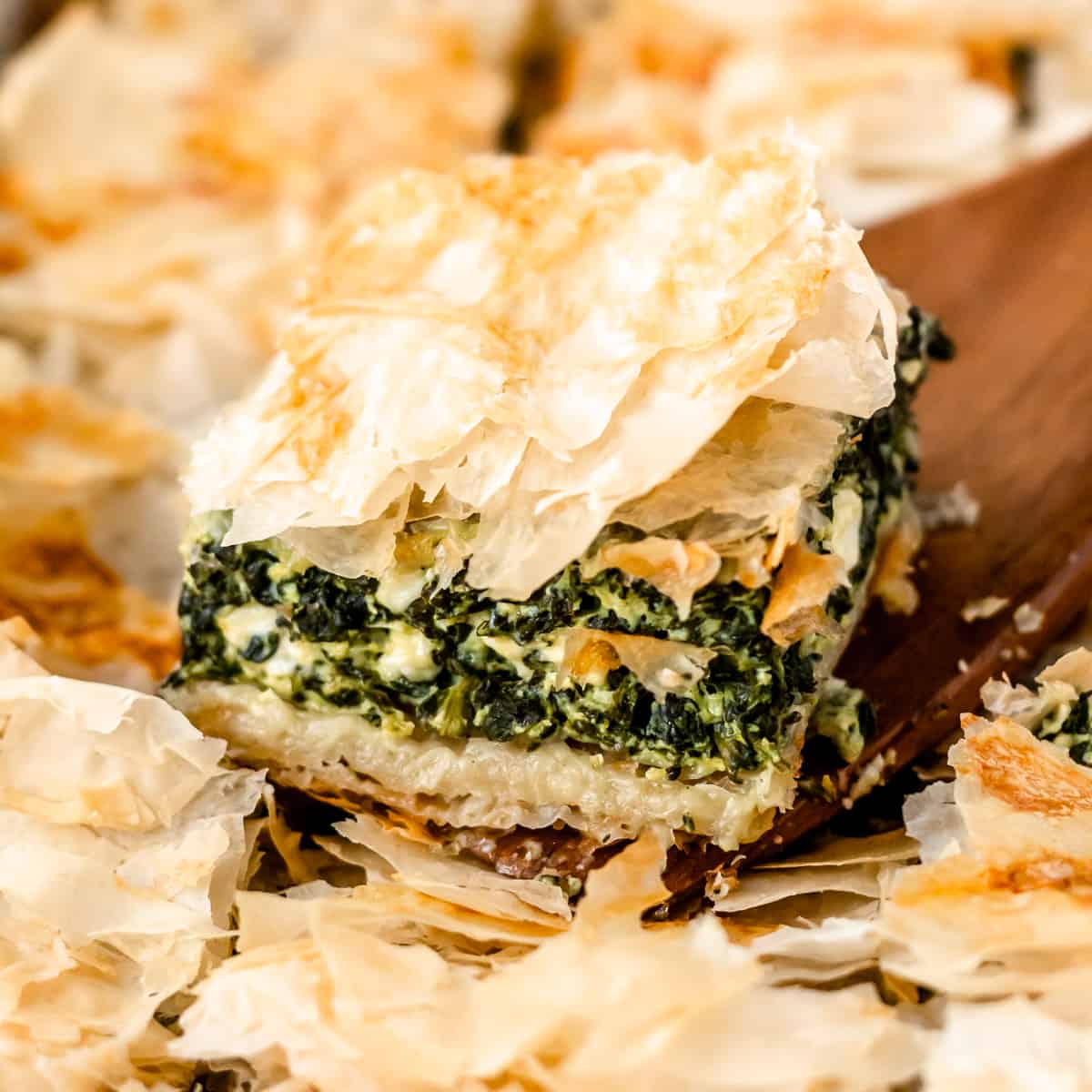 spanakopita