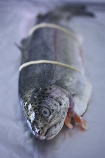 trout with thyme