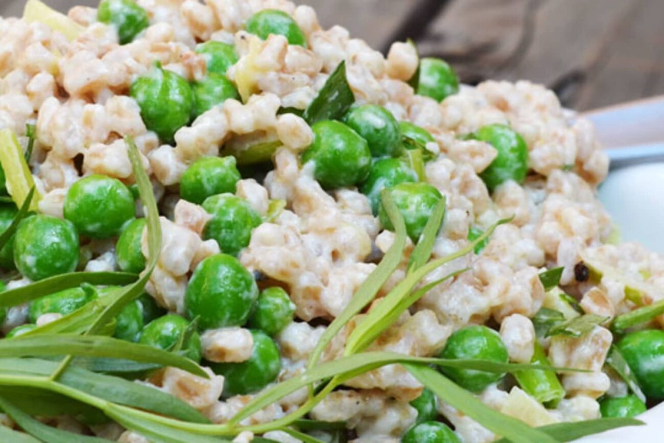 tuna salad with vegetable recipes peas and cheese