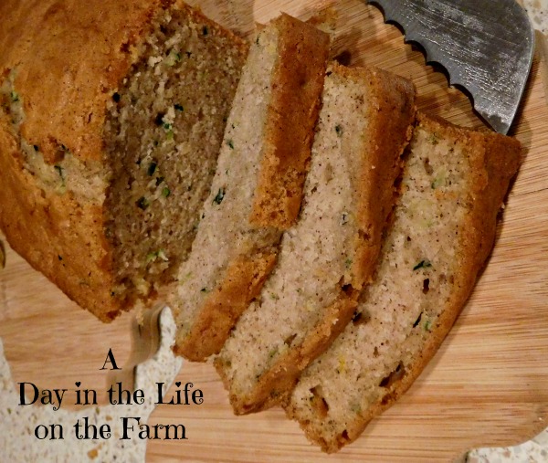 baked zucchini paradise bread