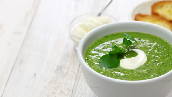 creamy watercress soup