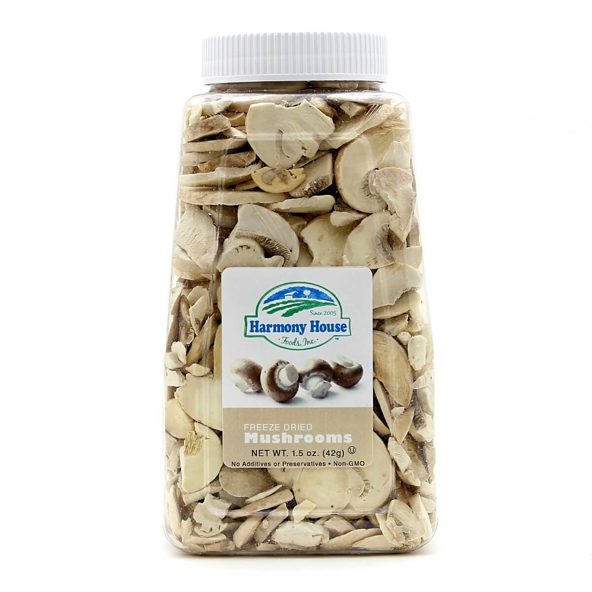 dried mushrooms