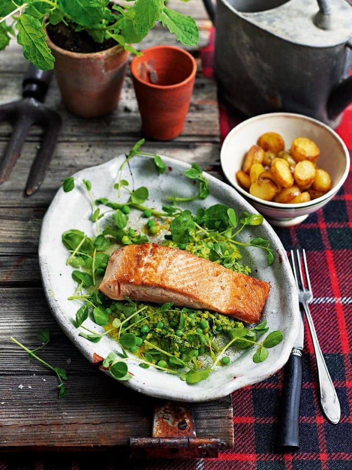 fried trout