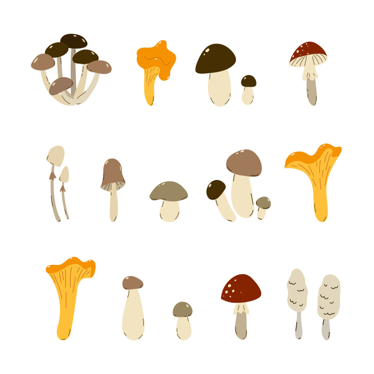 mushroom