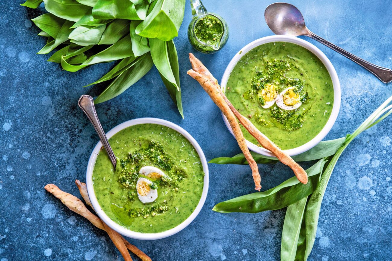 bear garlic soup