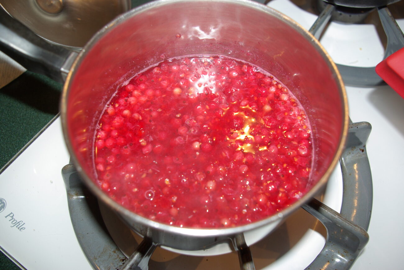 currant sauce for meat