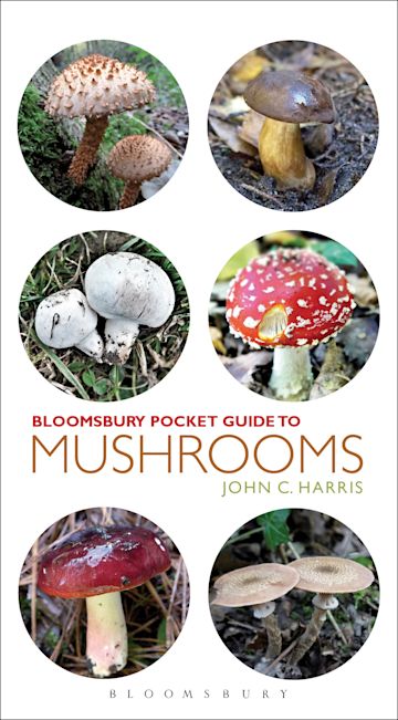 mushrooms in the pocket