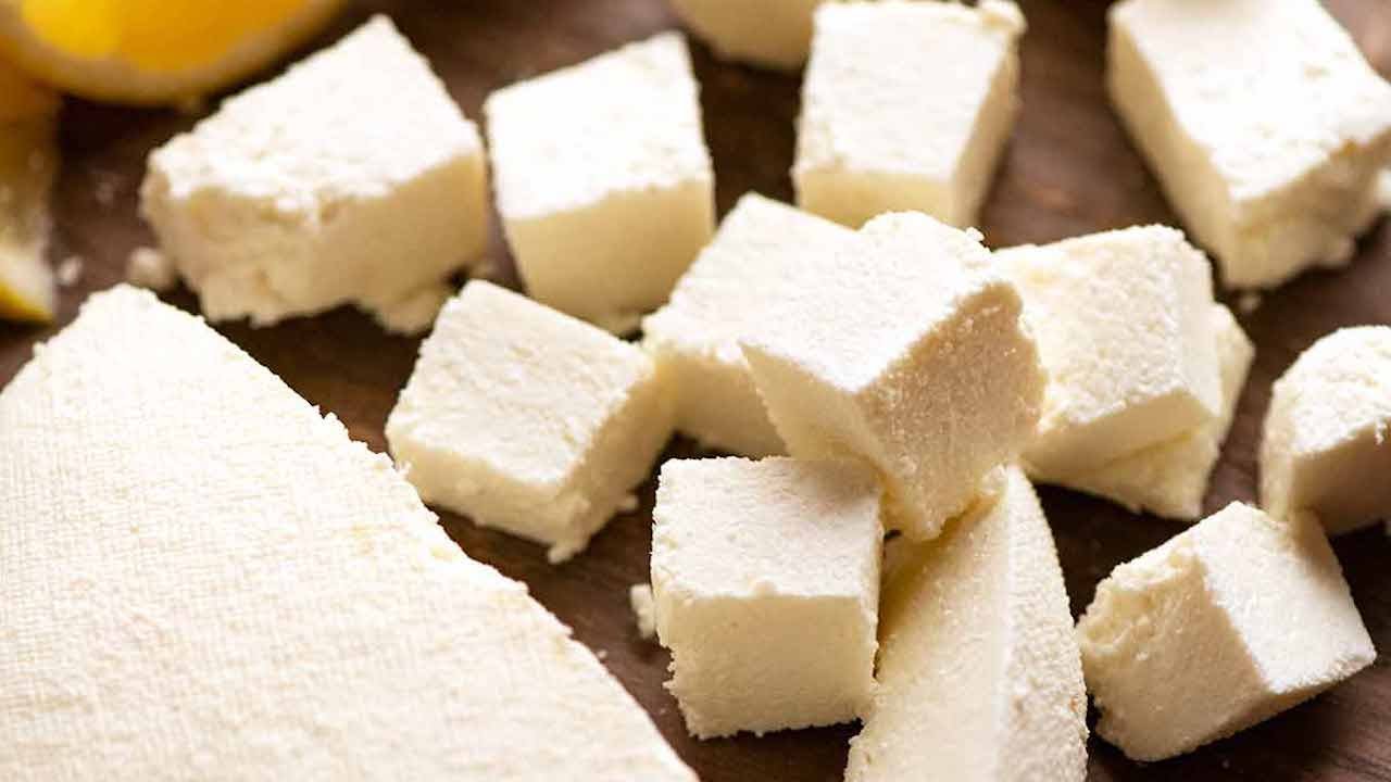 paneer indian cheese