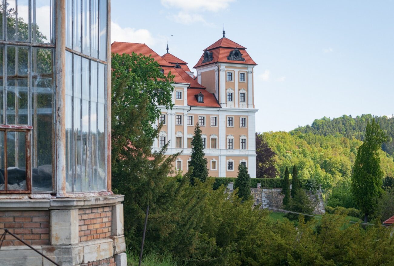 rabbits back after karlovy vary