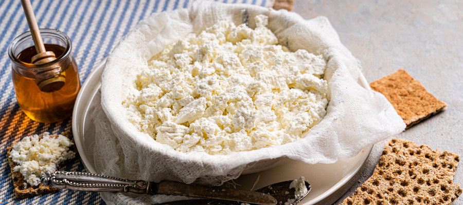 raw termix cottage cheese termix from pure ingredients