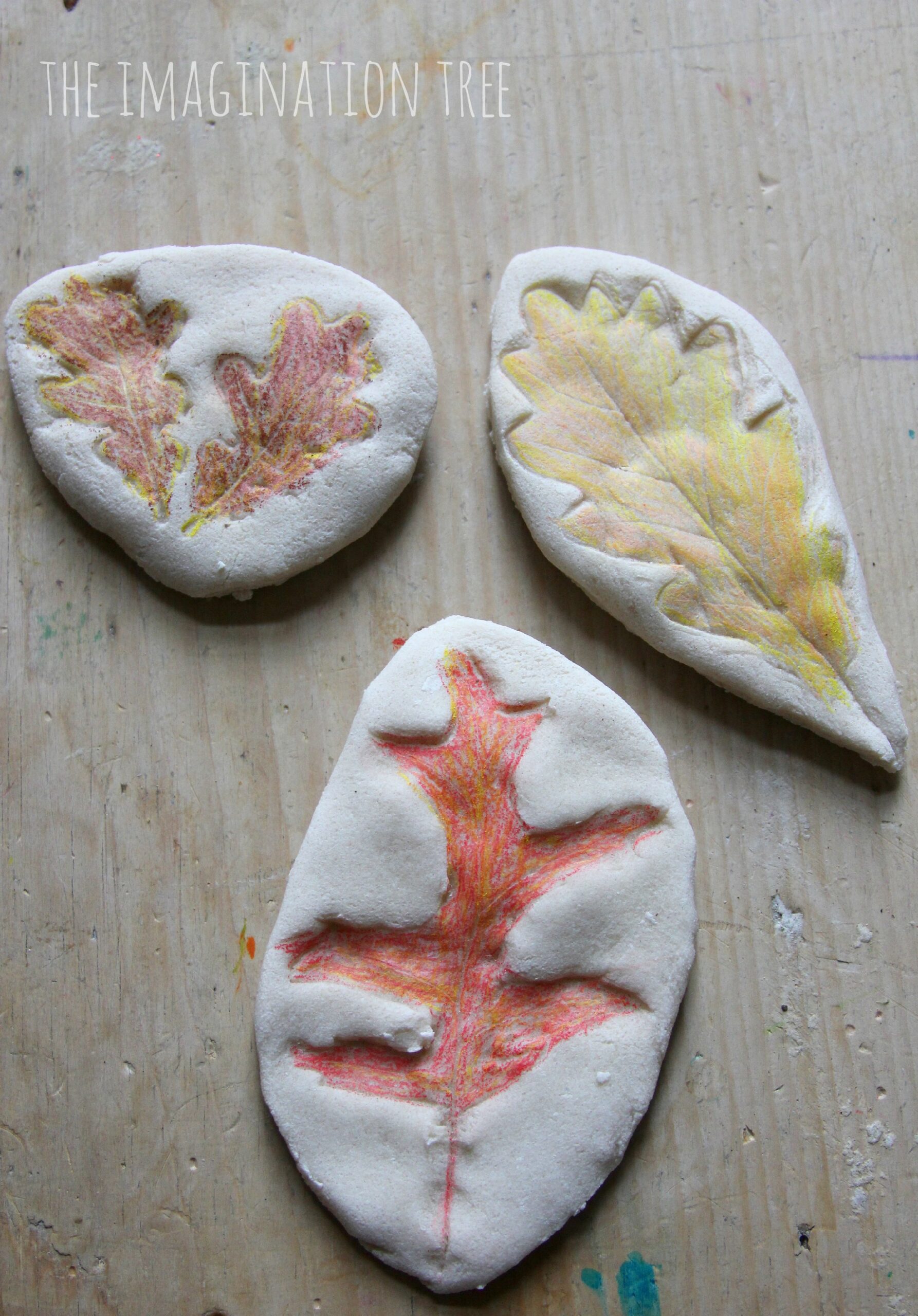 recipe for making fossil leaves scaled