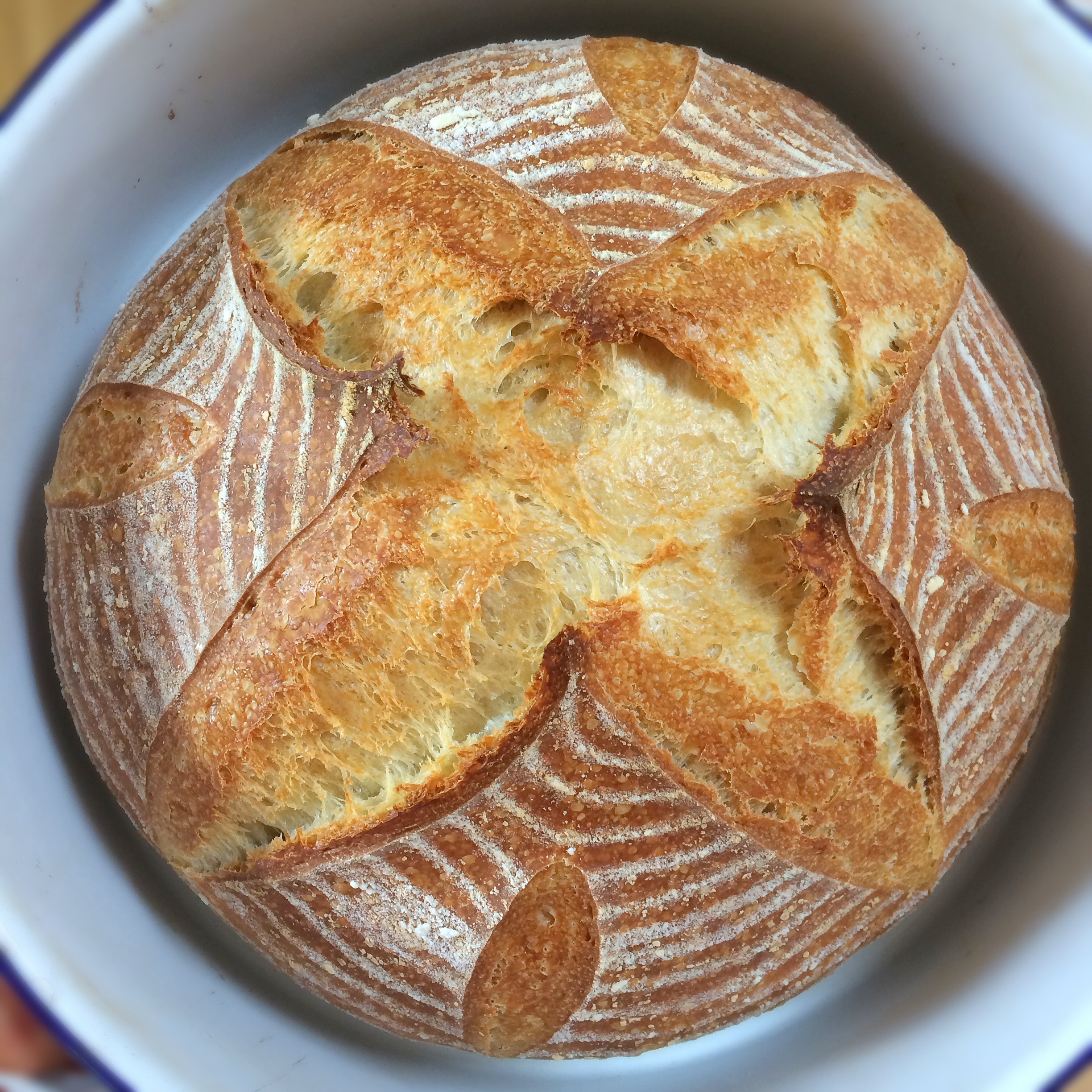 recipe for using flowers to make a wild yeast water to leave your bread