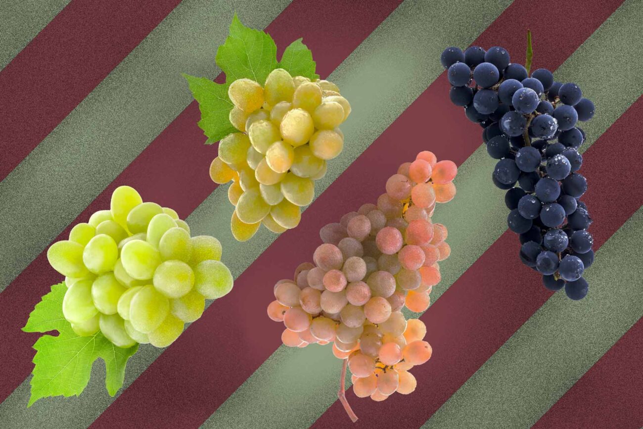 recipe to make wine with white grapes that have tiny black spots on them