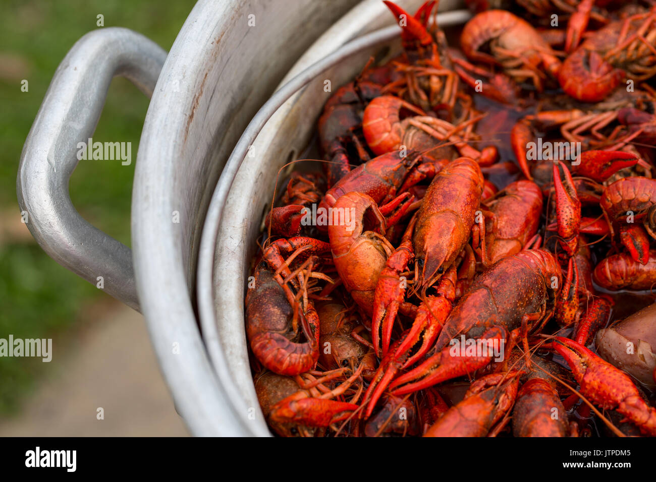 recipe to making crawfish like mambo seafood