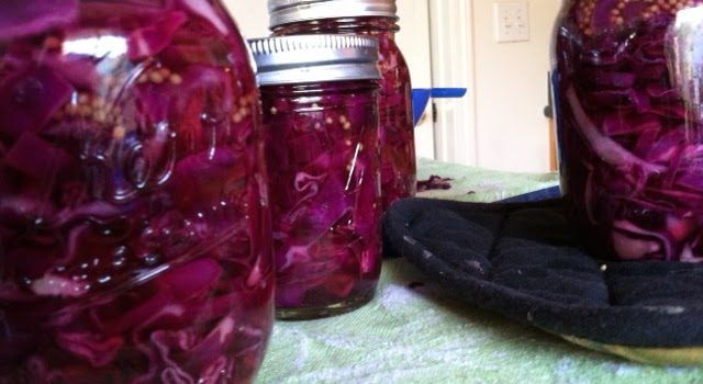 red cabbage canning recipe without salt