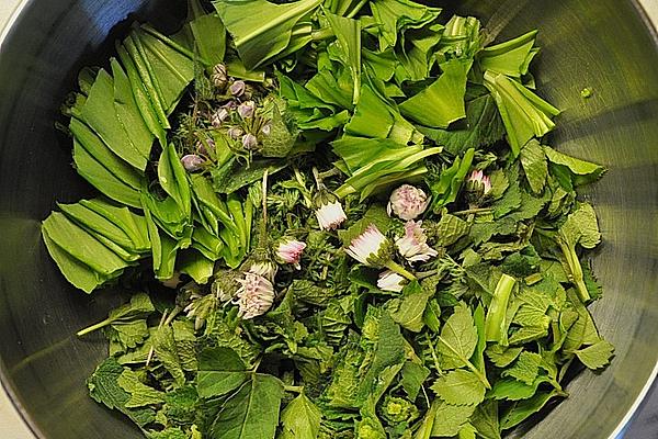 spring soup with herb nightshade