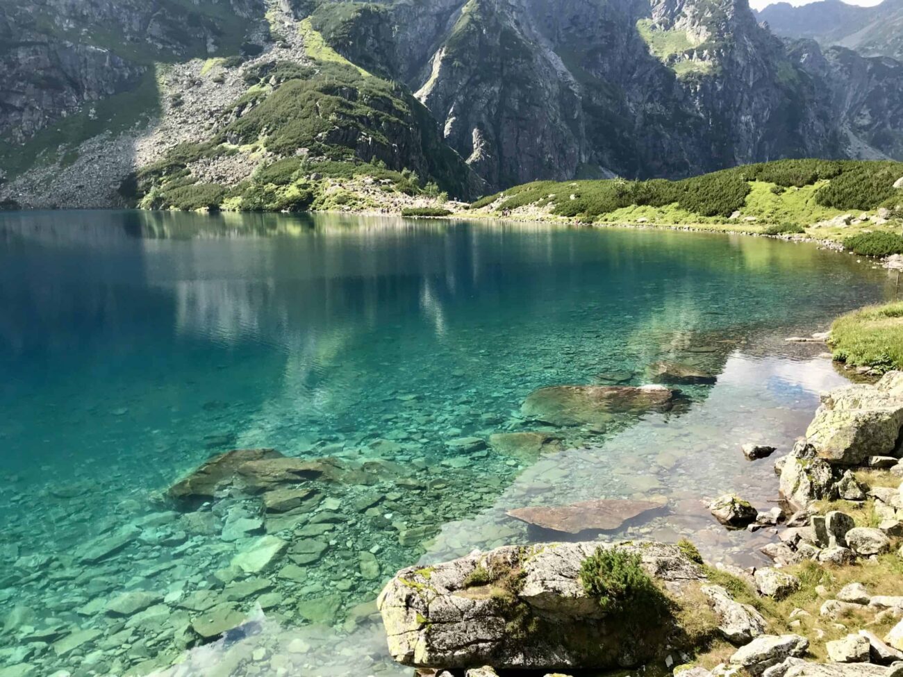 trout in tatra style