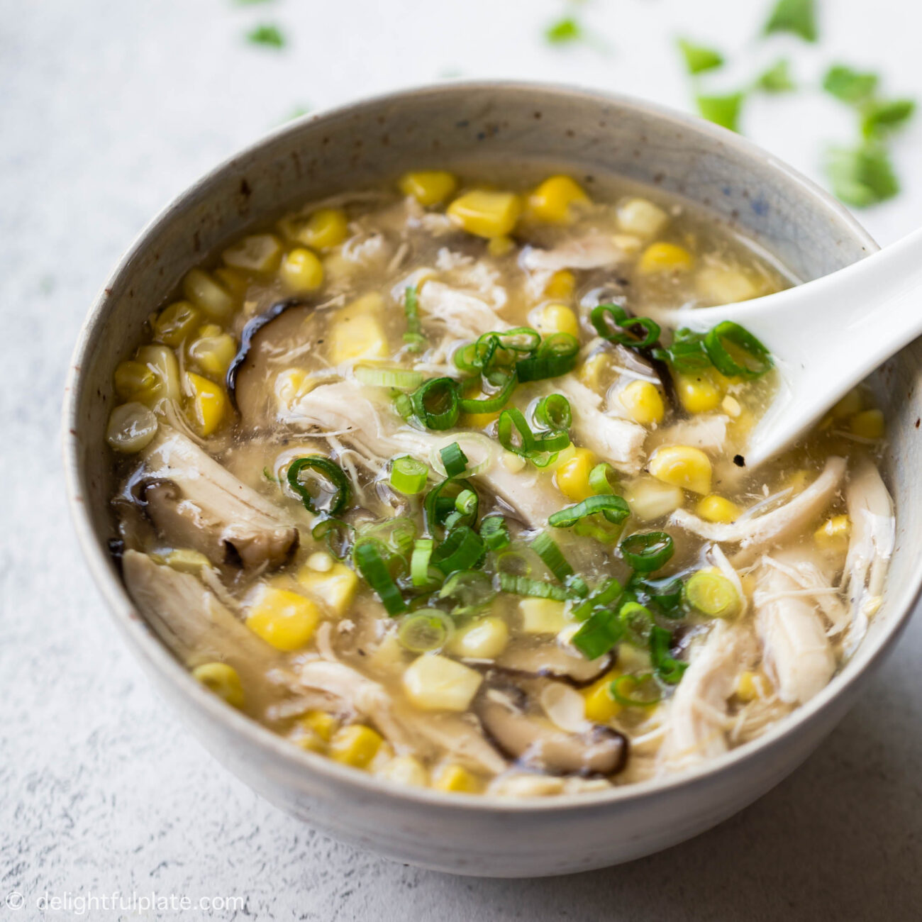 vietnamese chicken soup czech style from the pressure cooker